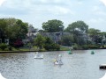 Swan Boats Fletcher Lake